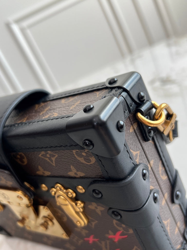 Petite Malle Souple handbag