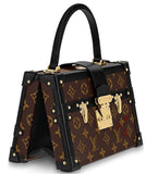 Petite Malle Souple handbag