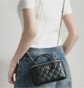 Vanity Case series handbag