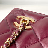 Classic Small Tote from the Spring/Summer 2026 Collection: Dark Burgundy Soft Lambskin |AS6248-B24030-U8393